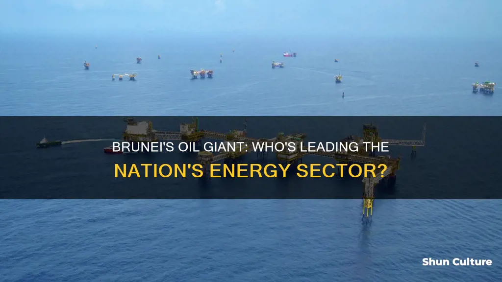 what oil company is brunei