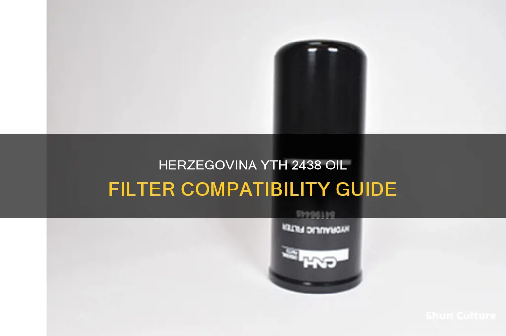 what oil filter does my herzegovina yth 2438 take