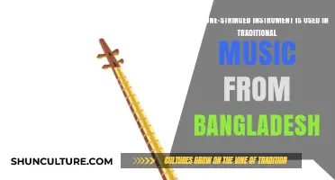 Discover the Ektara: Bangladesh's One-Stringed Traditional Music Instrument