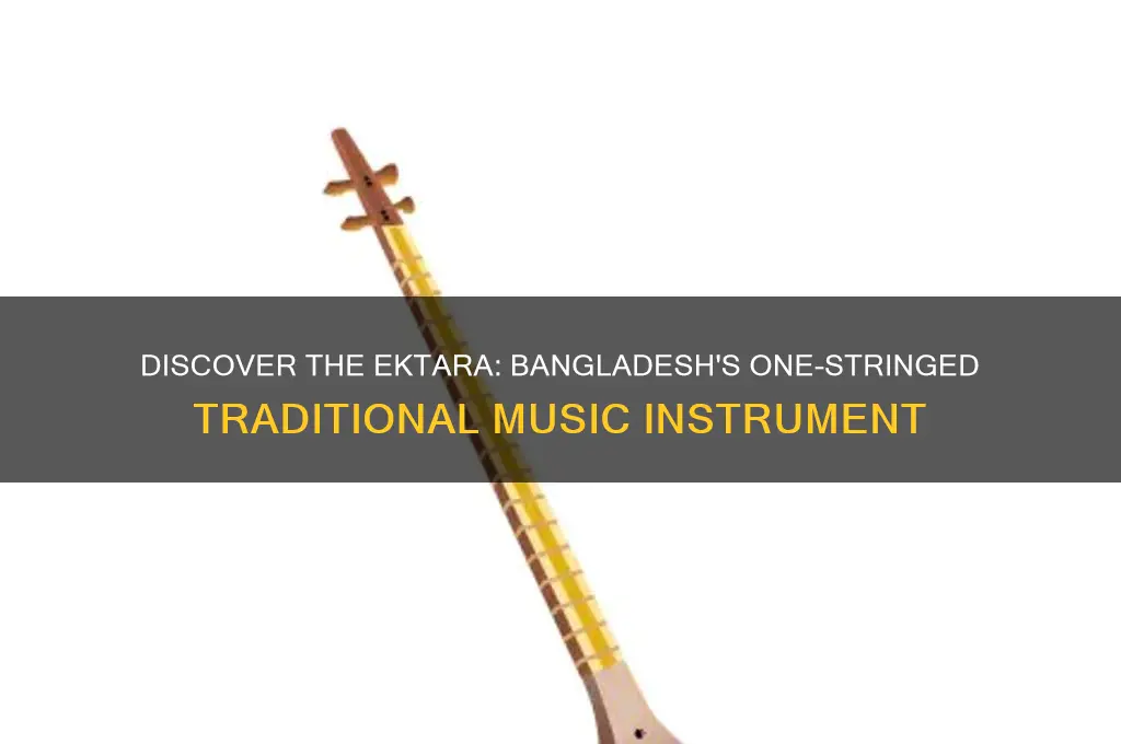 what one-stringed instrument is used in traditional music from bangladesh