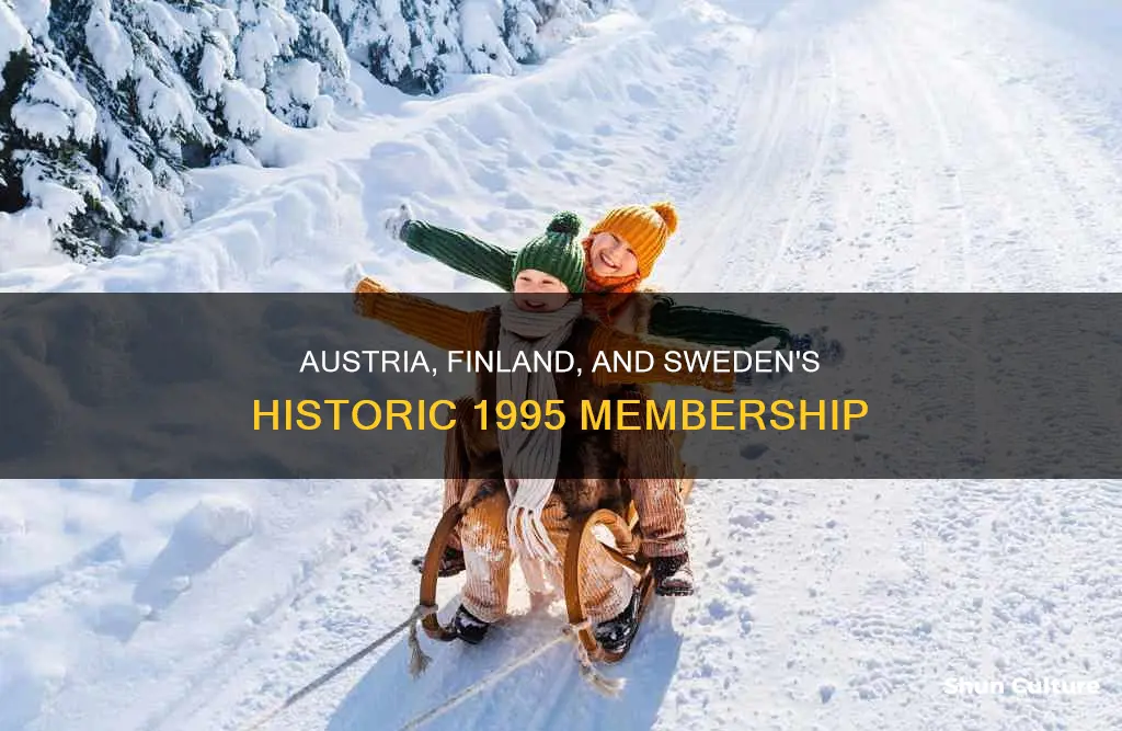 what organization did austria finland and sweden join in 1995