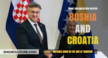 International Aid: Key Organizations Supporting Bosnia and Croatia's Recovery