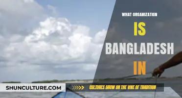 Exploring Bangladesh's Membership in Key International Organizations