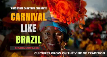 Carnival Beyond Brazil: Global Celebrations of Color, Culture, and Joy