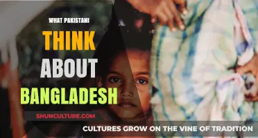 Perceptions and Perspectives: Pakistani Views on Bangladesh's Culture and Progress