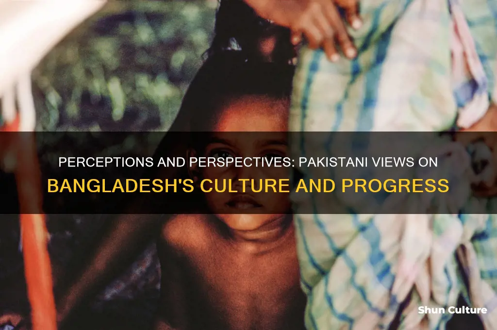 what pakistani think about bangladesh
