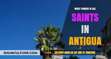 Discovering All Saints Parish in Antigua: Location and Community Insights