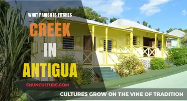 Discovering Fitches Creek's Parish in Antigua: A Local Guide