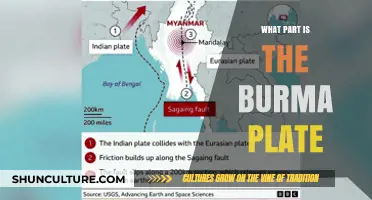 Unraveling the Burma Plate: A Tectonic Puzzle in Southeast Asia