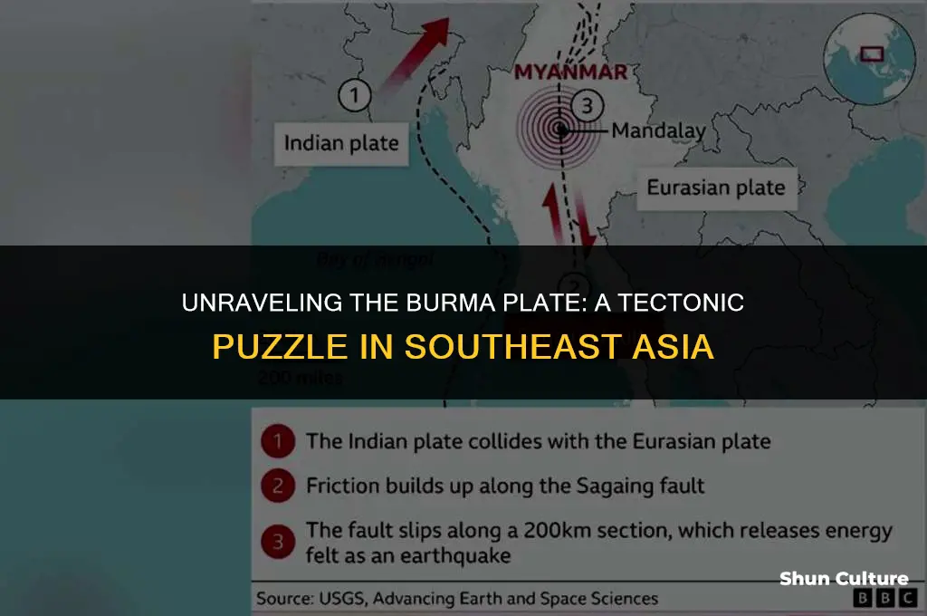 what part is the burma plate