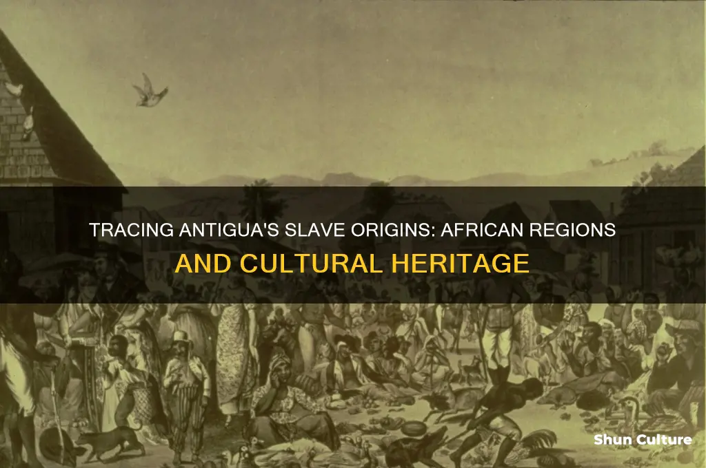 what part of africa did antiguan slaves come from