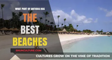 Discover Antigua's Best Beaches: Top Coastal Gems to Explore