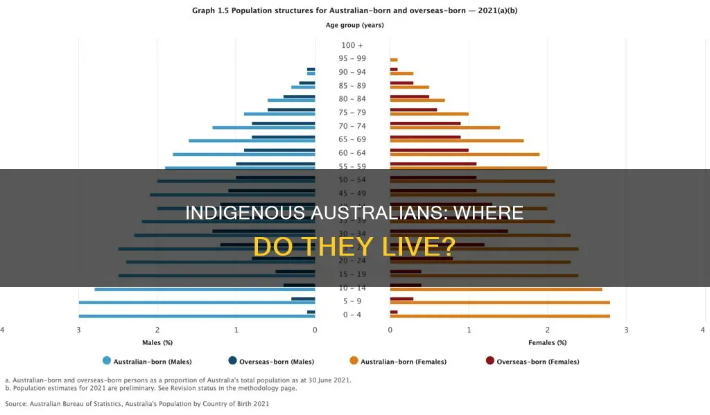 what part of australia do indiginous people live in