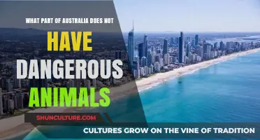 Safe Havens in Australia: Where Danger Isn't Lurking