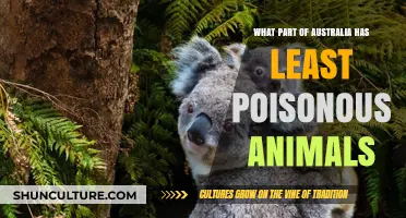Exploring Australia's Safest Regions: Avoiding Poisonous Animals