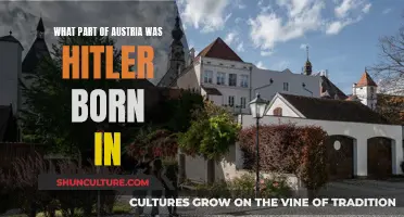 Hitler's Birthplace: Unveiling Austria's Dark Past