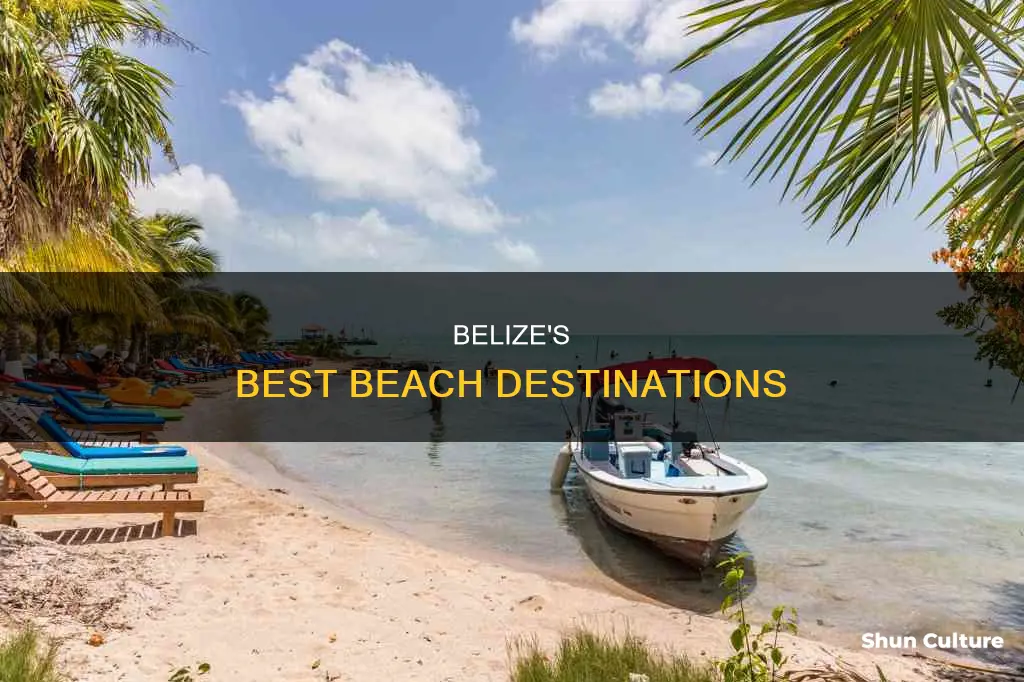 what part of belize has the best beaches