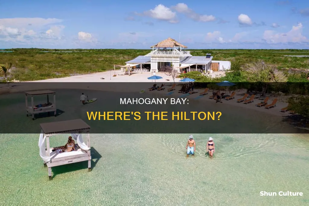 what part of belize is mahogany bay hilton in