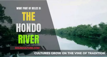 Hondo River: Belize's Vital Vein