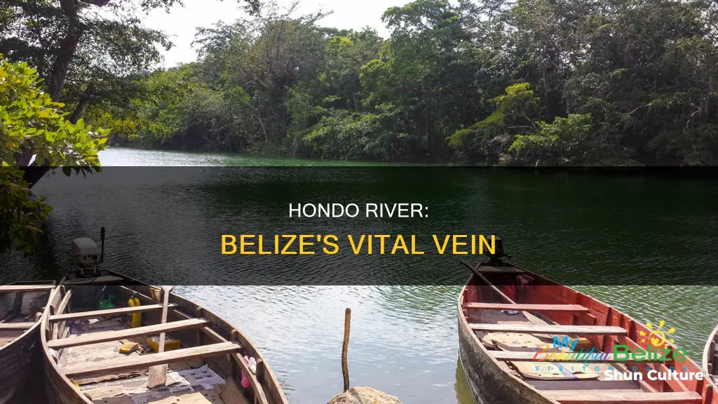 what part of belize is the hondo river