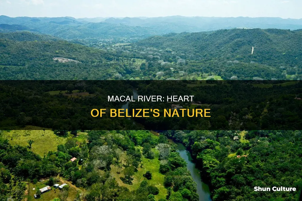 what part of belize is the macal river