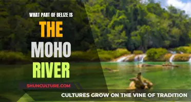 Moho River: Southern Belize's Tropical Paradise
