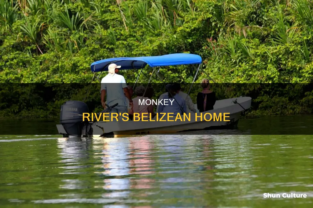 what part of belize is the monkey river