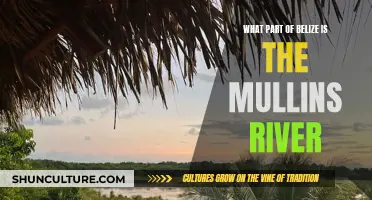 Mullins River: Belize's Tropical Paradise
