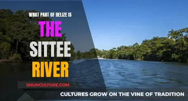 Belize's Sittee River: Where's It Flowing?