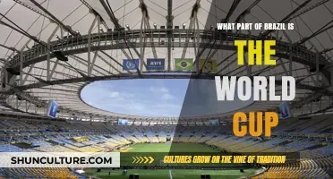 Where in Brazil is the World Cup Happening? A Location Guide