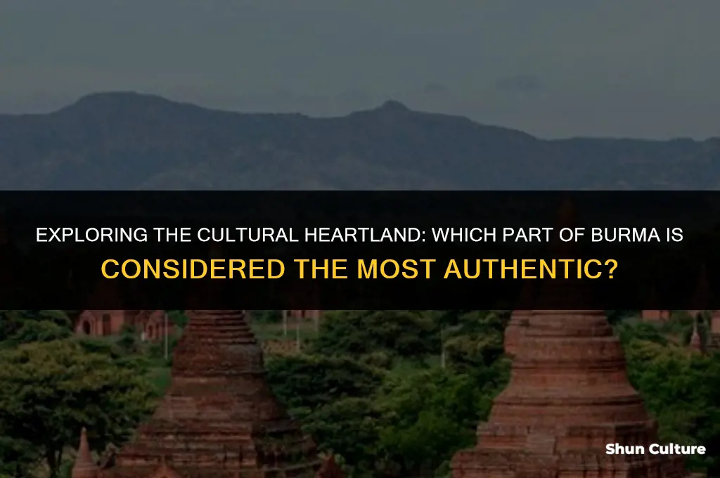 what part of burma is cinsidered