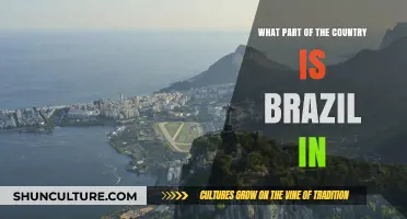 Where is Brazil Located? Exploring Its Region in South America