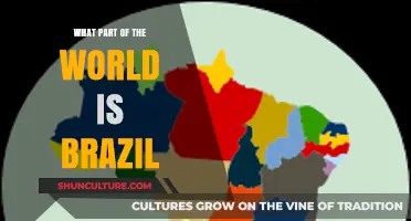 Where is Brazil Located? Exploring South America's Largest Country