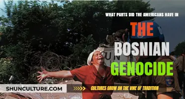 America's Role in the Bosnian Genocide: A Critical Examination