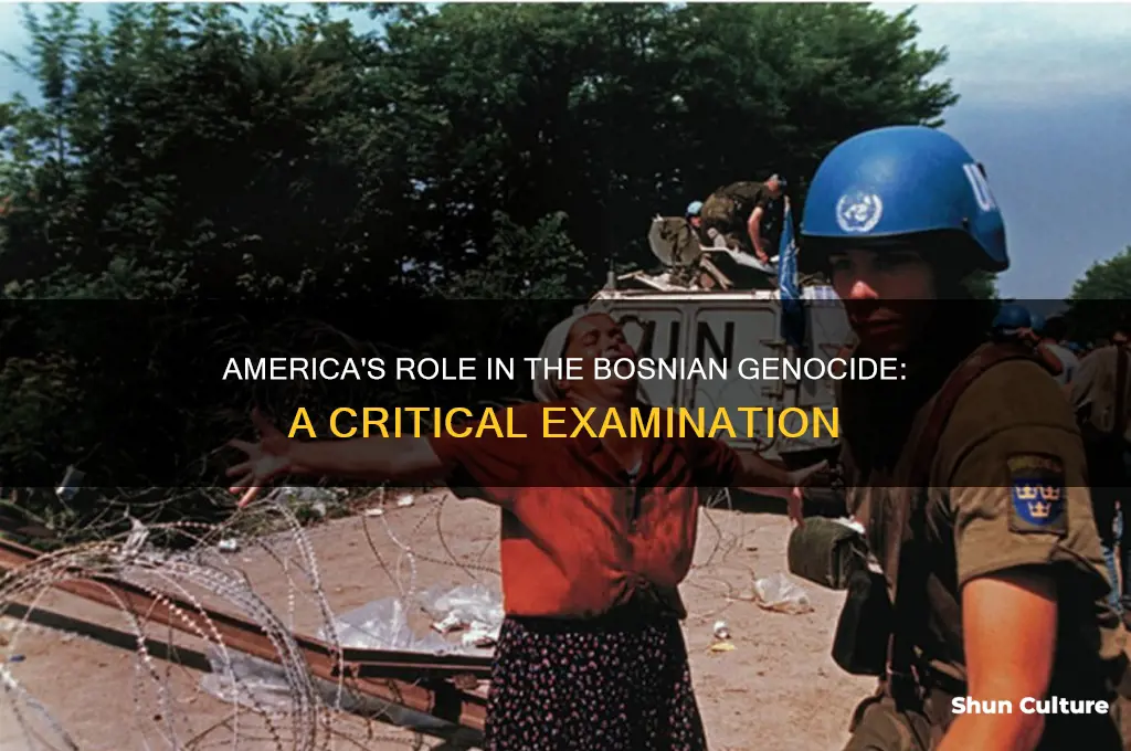 what parts did the americans have in the bosnian genocide
