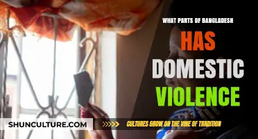 Domestic Violence in Bangladesh: A Regional Breakdown of Affected Areas