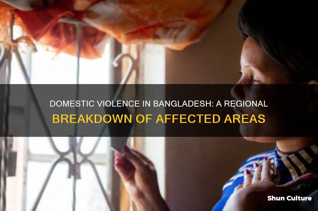 what parts of bangladesh has domestic violence