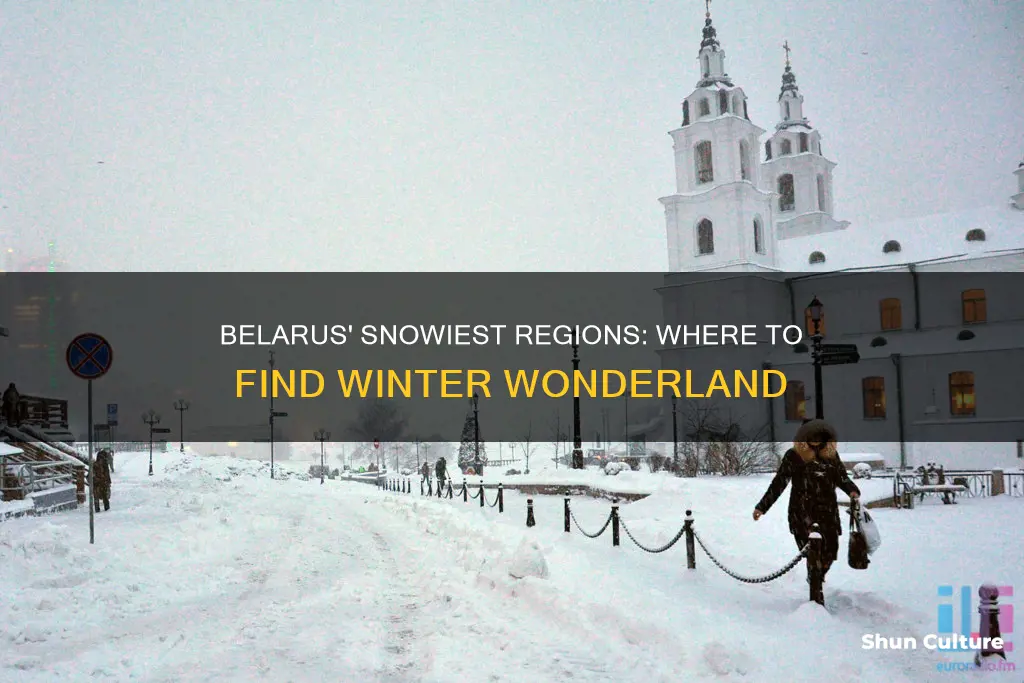 what parts of belarus get the most snow