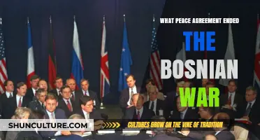 The Dayton Accords: Ending the Bosnian War and Forging Peace