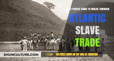 Atlantic Slave Trade: Origins of Enslaved Africans in Brazil