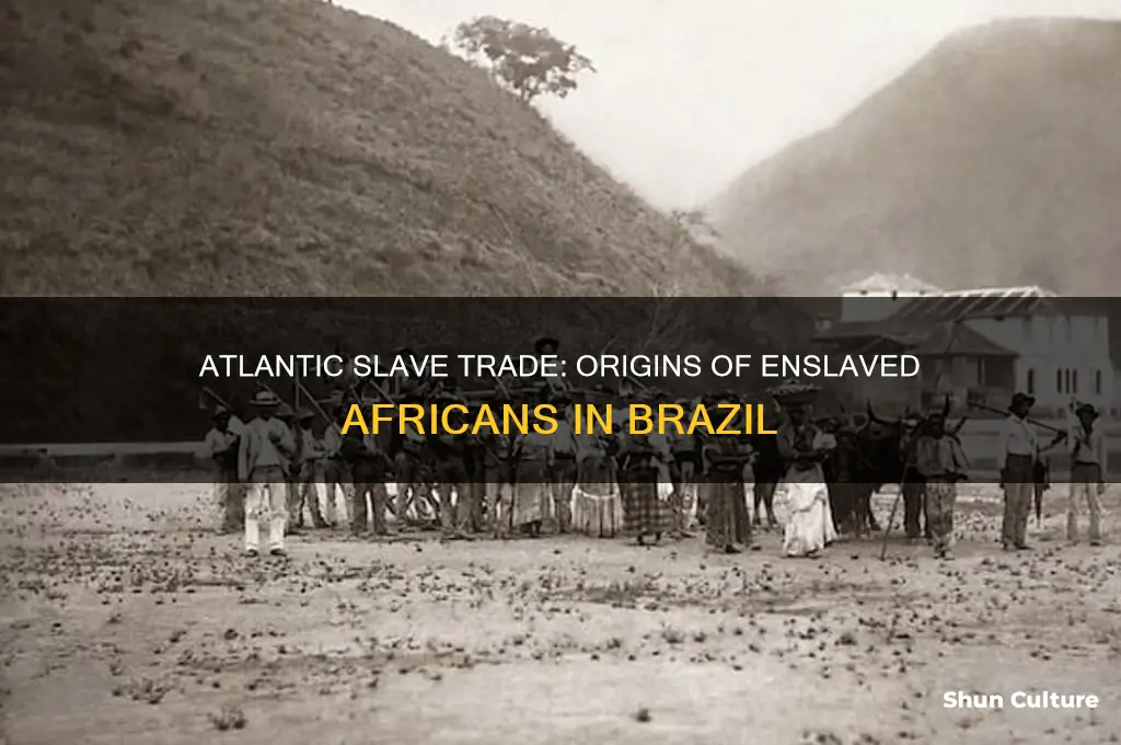 what people came to brazil through atlantic slave trade