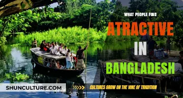 Discovering Bangladesh's Allure: Culture, Nature, and Warmth That Captivate Visitors