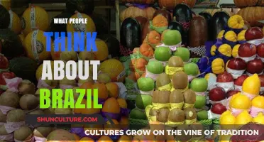 Brazil Beyond Stereotypes: Unveiling Global Perceptions of Culture and Identity