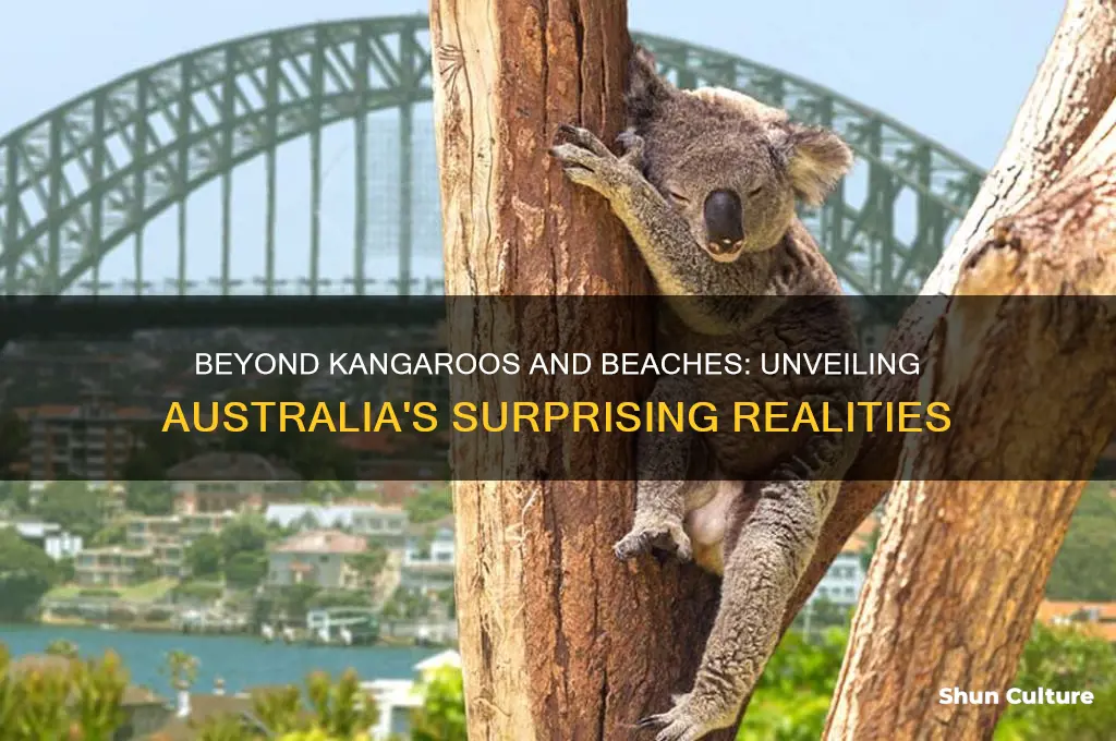 what people think australia is like