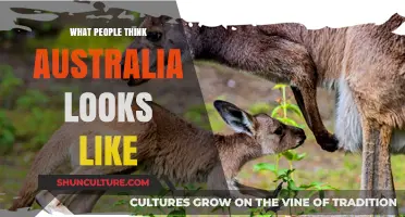Exploring the World's Perception of Australia's Geography
