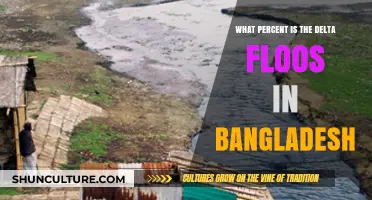 Understanding Delta Floods' Impact: Bangladesh's Percentage Analysis