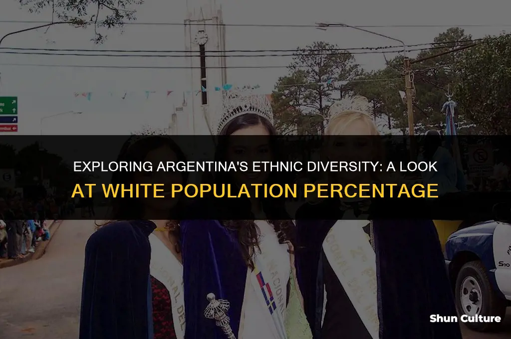 what percent of argentina is white