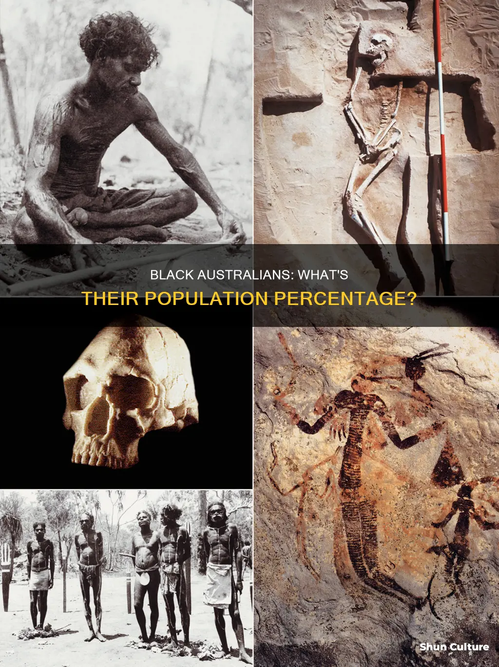 what percent of australian population is black