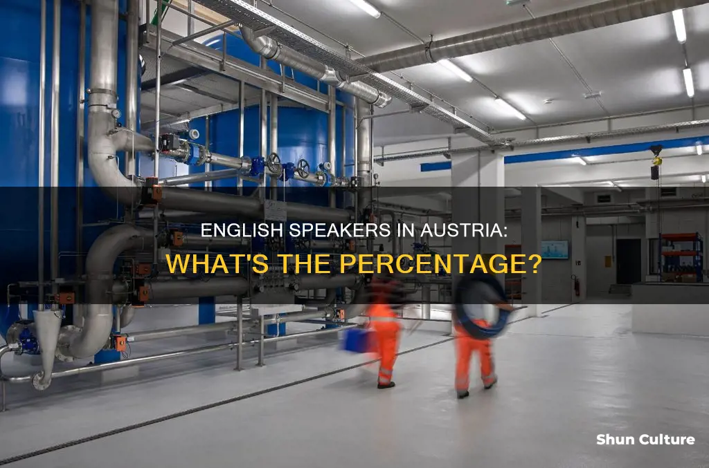 what percent of austria speaks english