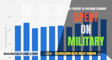 Austria's Military Spending: A Look at Defense Budget Allocation